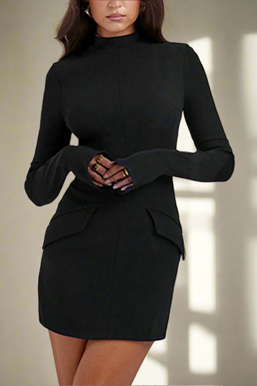 Luxe Contour Mock Neck Long Sleeve Mini Dress